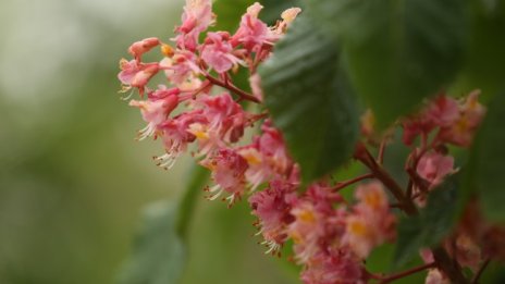 Слънчево и топло, температурите надхвърлят 30&deg;
