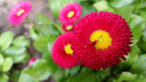 Температурите удрят над 30&deg;, ще вали в източните райони