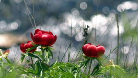 Леко захлаждане в неделя, на места ще превали