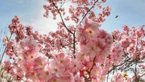 Седмицата започва със слънчево време и градуси до 28&deg; 