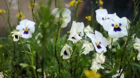 Слънчев празничен ден, температури ще са 24&deg; - 29&deg;