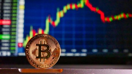 Сривът на криптото и тежките уроци за младите инвеститори