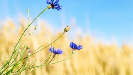 Остава топло и слънчево, градусите до 30&deg;