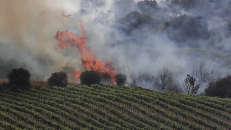 Испания продължава битката с горските пожари