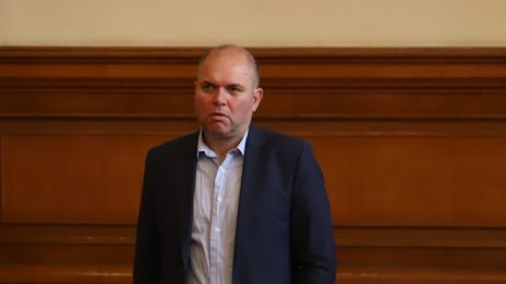 Панев: Правителството прави оптималното