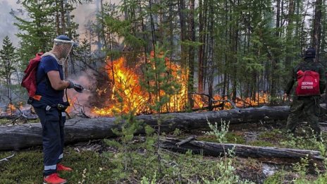 Извънредно положение в Хабаровския край в Русия заради горски пожари