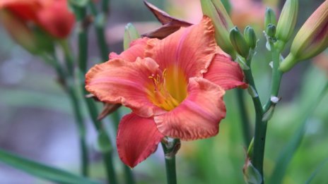 Жега до 37&deg;С в петък, на места с кратък дъжд