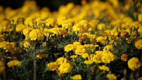 Горещо с температури до 37&deg;, на места ще превали