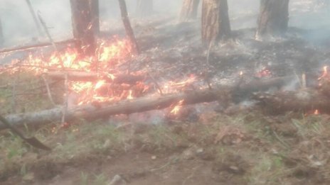 Обявиха частично бедствено положение в Панагюрище