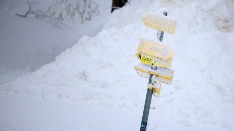 Пътищата към ПП “Витоша” са опесъчени и отворени за движение