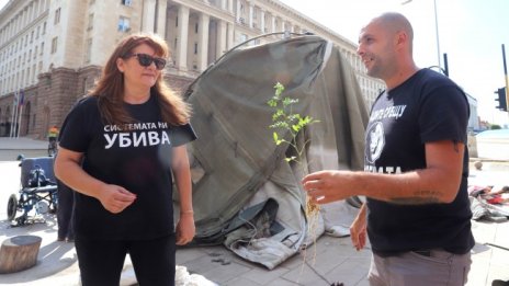 "Системата ни убива" отиват на избори с Мая Манолова