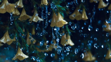 Остава облачно и дъждовно и в четвъртък, градусите до 32&deg;С 