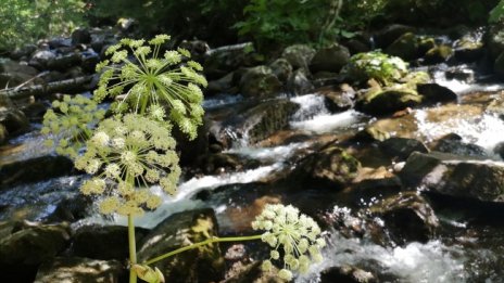 Слънчево с температури до 34&deg;, само на места ще превали
