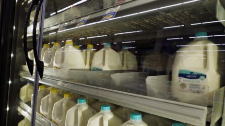 Сърбия забрани износа на млечни продукти