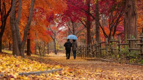 Градусите през октомври &ndash; от -5 до цели 32, месецът започва с топло време