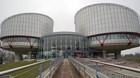 ЕСПЧ  съди България за 118 хил. евро на прогонените роми от Войводиново