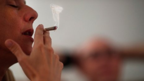Правителството на Германия одобри план за узаконяване на канабиса