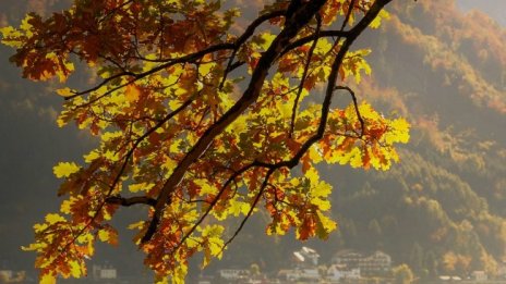 В неделя ще е още по-топло, градусите до 26&deg;