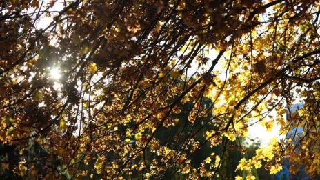 Със слънце и температури до 27&deg; започва ноември