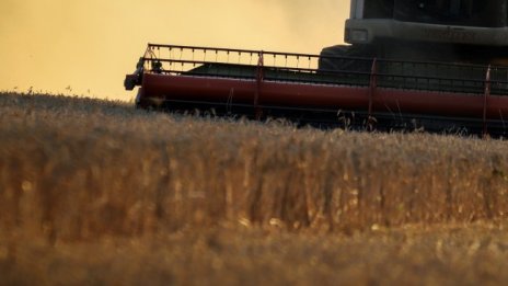 Цените на пшеницата и царевицата в света започнаха да падат