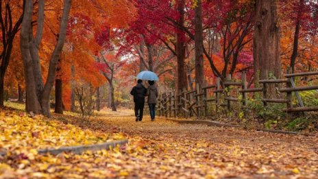 В събота ще бъде слънчево с градуси до 11&deg;