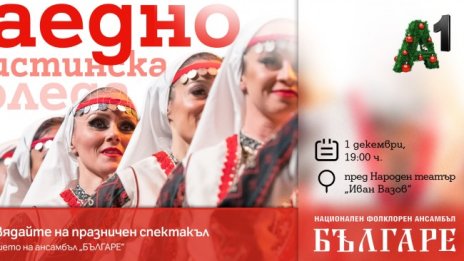 Столична община организира тържествено запалване на светлините на коледната елха със спектакъл пред Народния театър