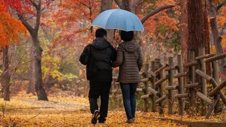 Облачна и дъждовна неделя с градуси до 10&deg;