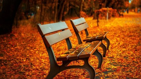 В петък ще е топло за декември с максимални температури до 19&deg;