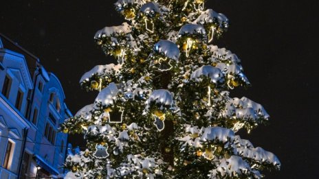 Криза &ndash; не достигат Дядо Коледовци в Румъния