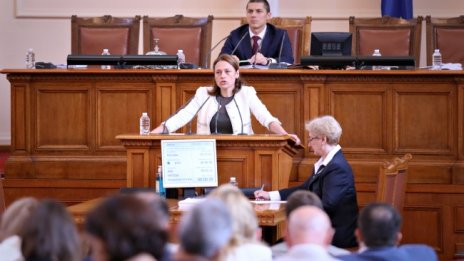 Ива Митева: Всеки прави каквото иска в парламента