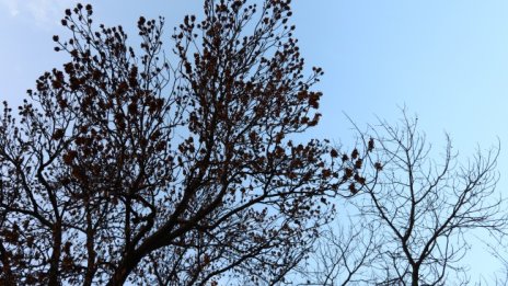 И днес ще е топло с температури до 14 градуса
