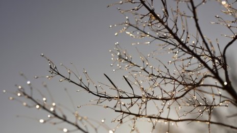 В неделя ще  облачно с максимални температури от 10&deg;