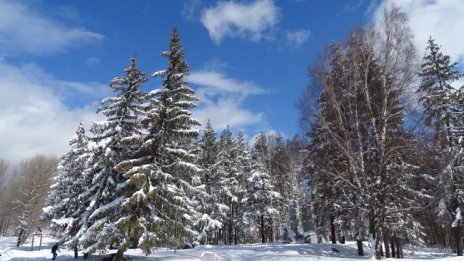 Температурите през февруари от минус 12 до плюс 20 градуса