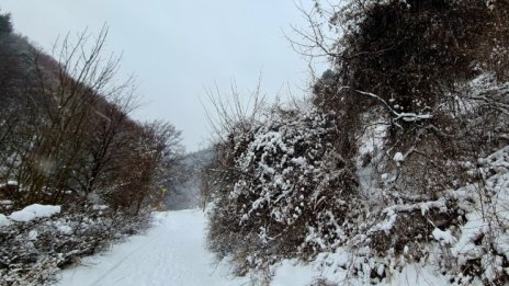 Температурите днес ще стигнат до минус 3° - 2°