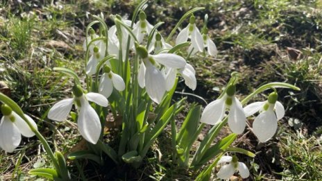 Слънчево и топло утре, температурите между 15&deg; и 20&deg;