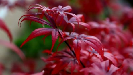 Съботата ще е ветровита, с максимални температури до 20&deg;