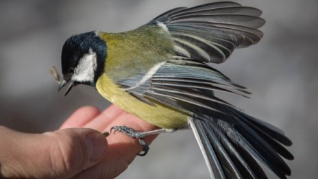 Времето ще е по-топло от нормалното за март, до 20 &deg;C в Пловдив 