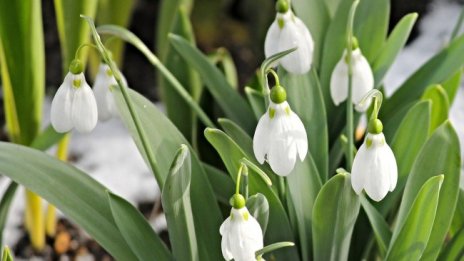 Топло и слънчево на 8 март, градусите скачат до 20&deg;