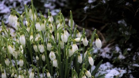 В неделя ще е предимно слънчево с градуси до 13&deg;
