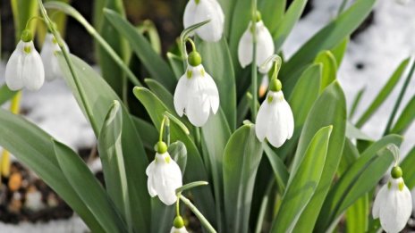 Утре ще бъде слънчево, температурите ще се повишат до 20&deg;