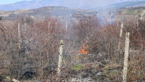Лозя горяха над Благоевград