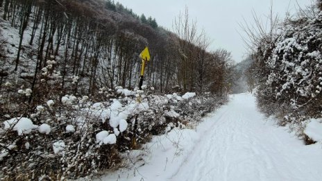 Изминалата зима - най-топлата в България от 135 години 