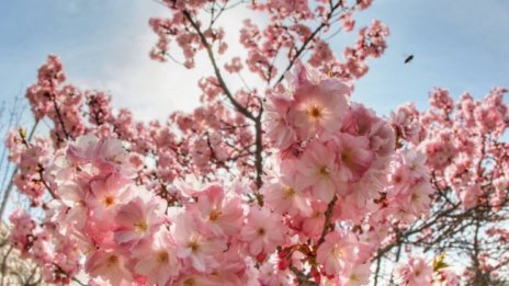 Утре затоплянето продължава, максималните температури до 22&deg;