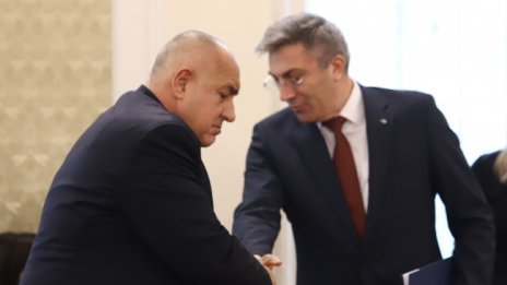 Карадайъ и Борисов обсъждали конституционни промени 