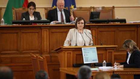 Нинова: Борисов да си даде имунитета