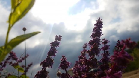 Седмицата започва със слънчево време и градуси до 32&deg;