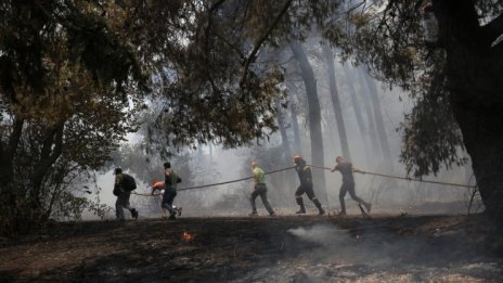 Сезонът на пожарите в Гърция е в разгара си