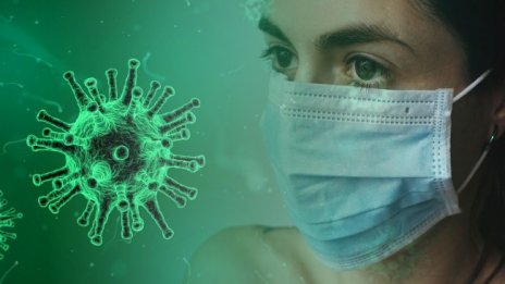 Гъбичките ли ще доведат до нова пандемия сред хората?