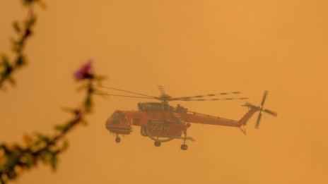 В Гърция забраниха придвижването в горите на Халкидики 