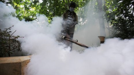 Скок  на западнонилската треска в Гърция